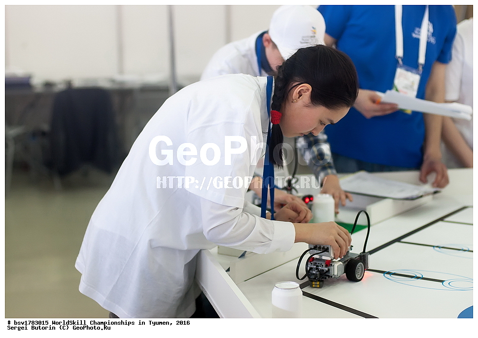 2016 ���, ������, ������, ���������, ������������, ���������