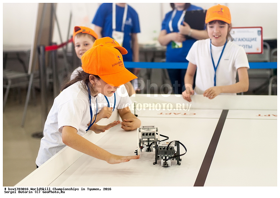 2016 ���, ������, ������, ���������, ������������, ���������