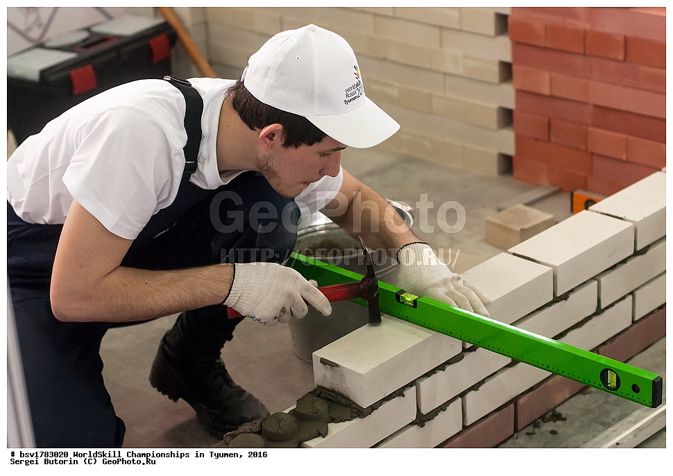 2016 ���, ������, ������, ���������, ������������, ���������