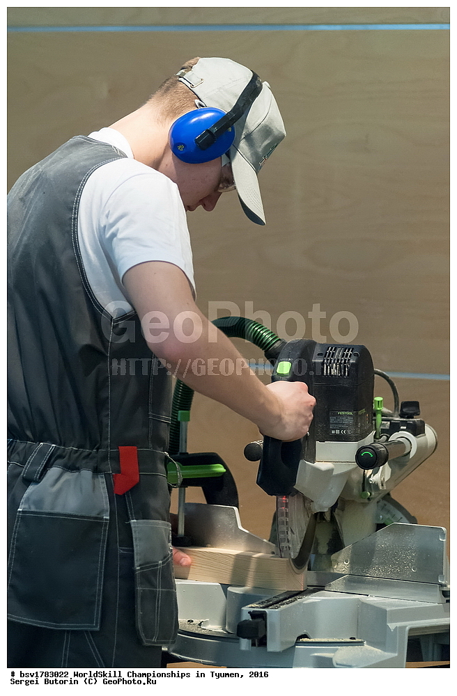 2016 ���, ������, ������, ���������, ������������, ���������