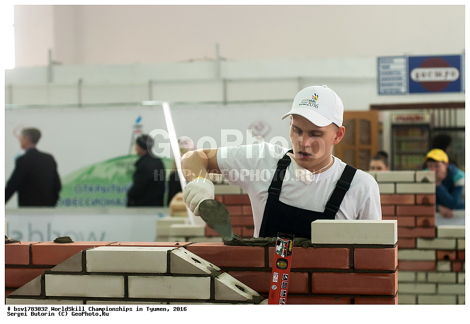 2016 ���, ������, ������, ���������, ������������, ���������