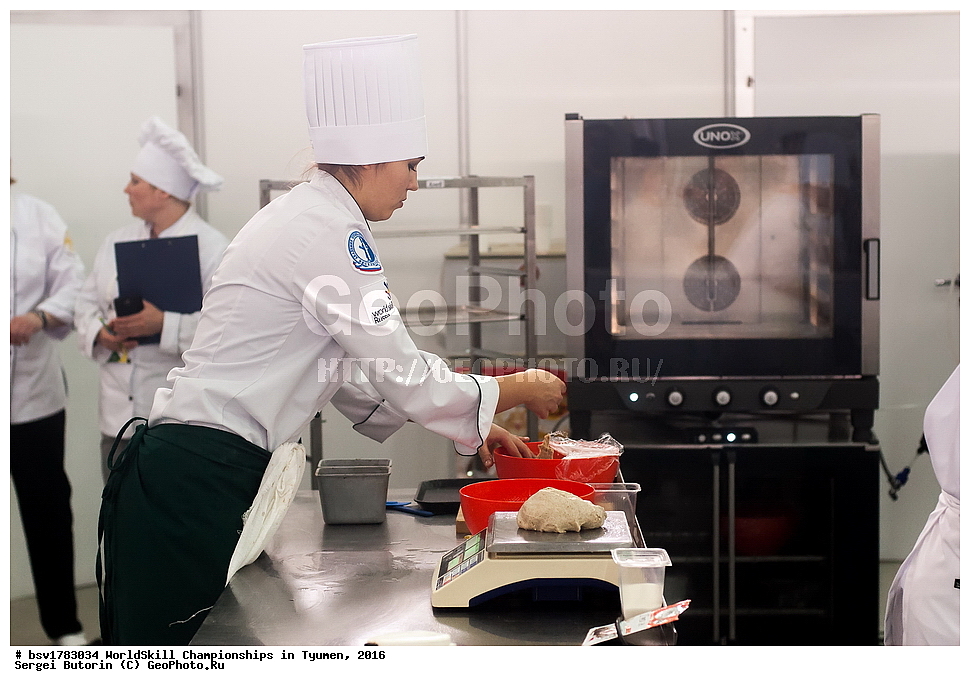 2016 ���, ������, ������, ���������, ������������, ���������