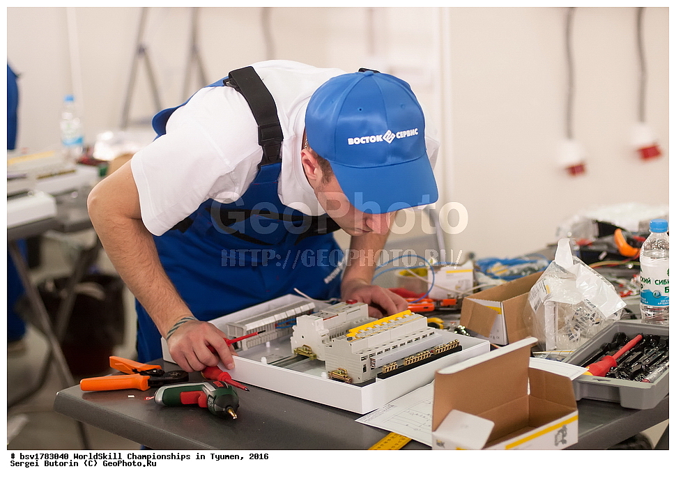 2016 ���, ������, ������, ���������, ������������, ���������