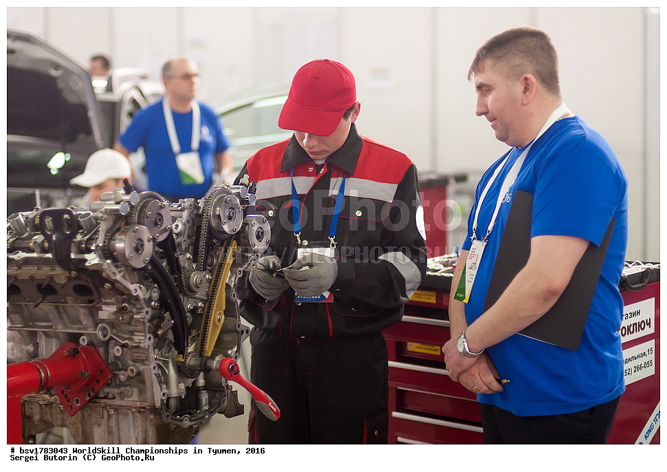 2016 ���, ������, ������, ���������, ������������, ���������