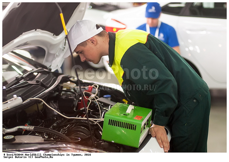 2016 ���, ������, ������, ���������, ������������, ���������