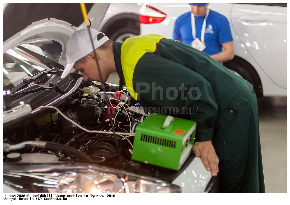 2016 ���, ������, ������, ���������, ������������, ���������