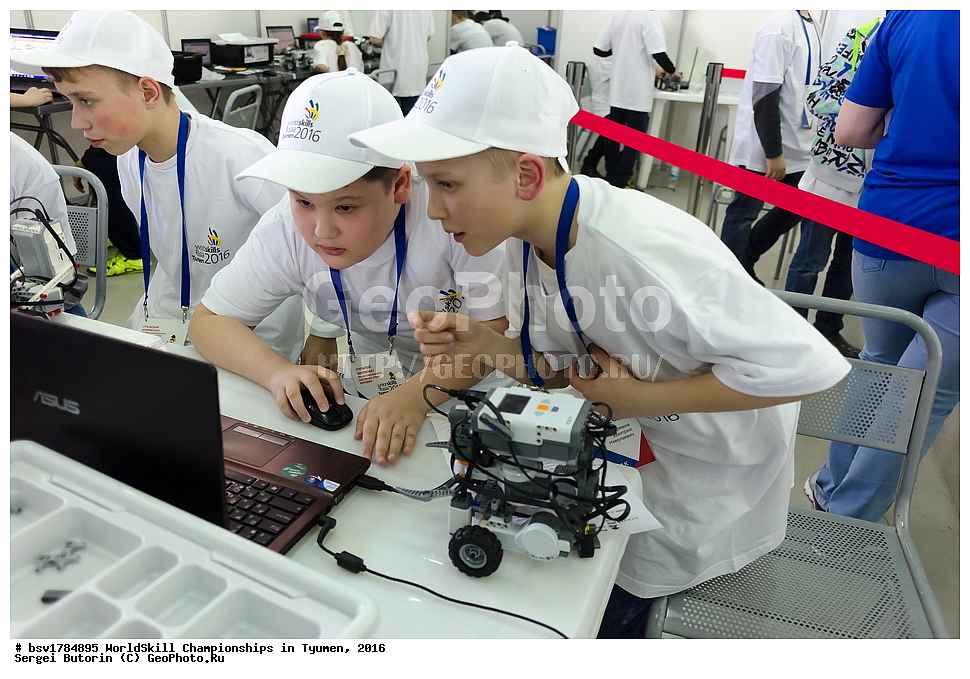 2016 ���, ������, ������, ���������, ������������, ���������