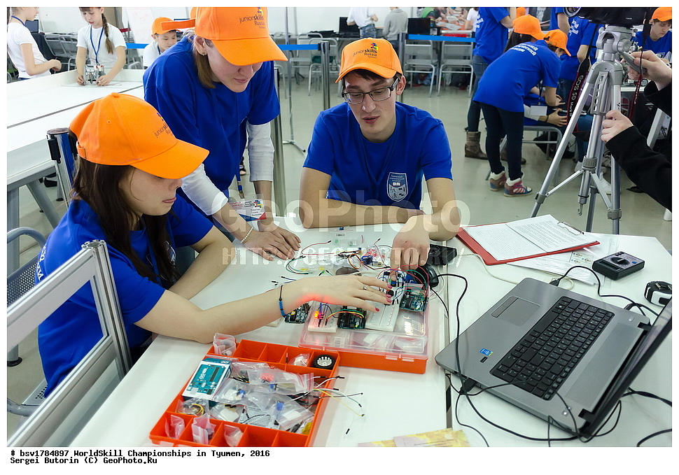 2016 ���, ������, ������, ���������, ������������, ���������