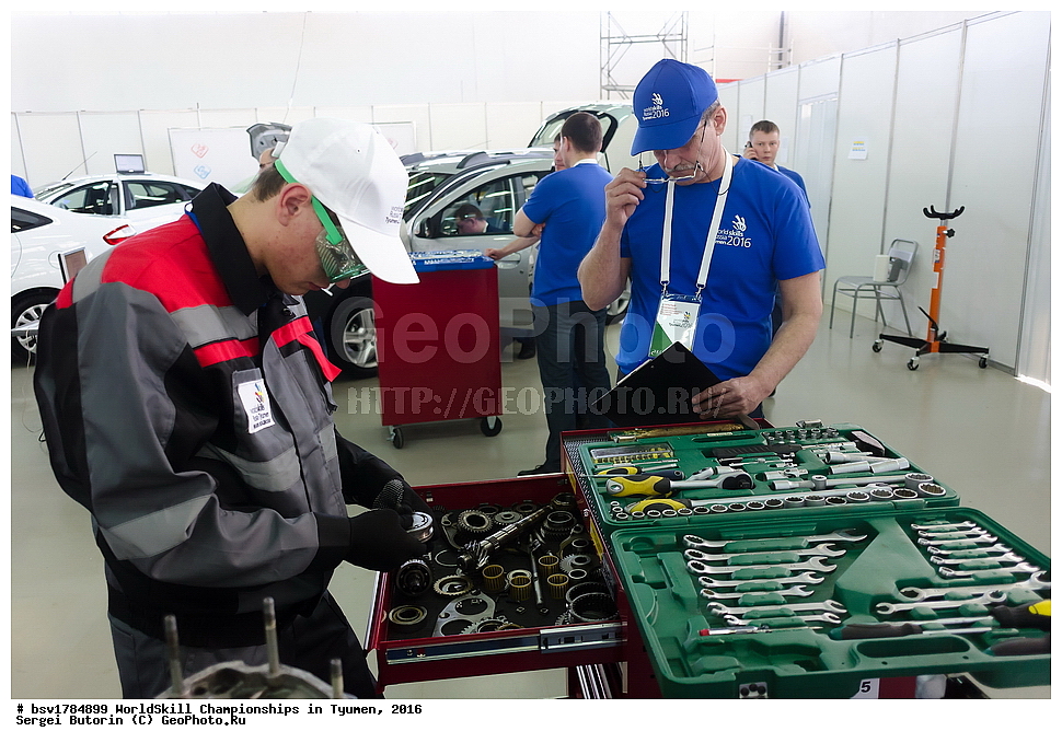 2016 ���, ������, ������, ���������, ������������, ���������