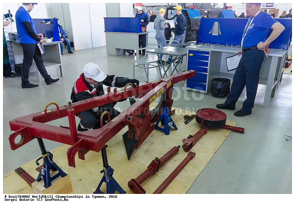 2016 ���, ������, ������, ���������, ������������, ���������