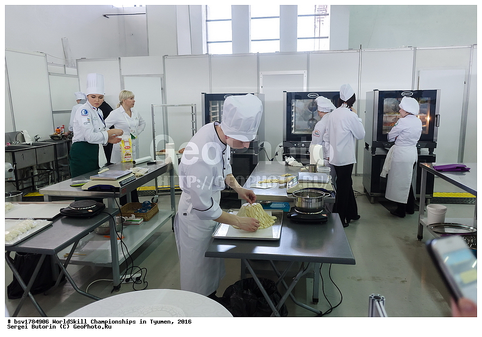 2016 ���, ������, ������, ���������, ������������, ���������