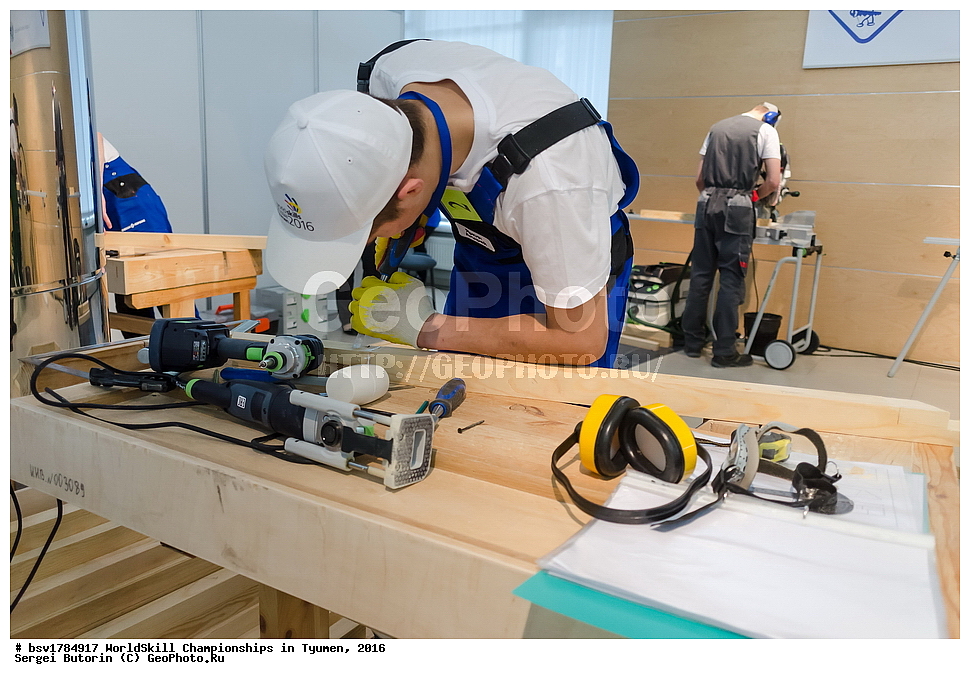 2016 ���, ������, ������, ���������, ������������, ���������