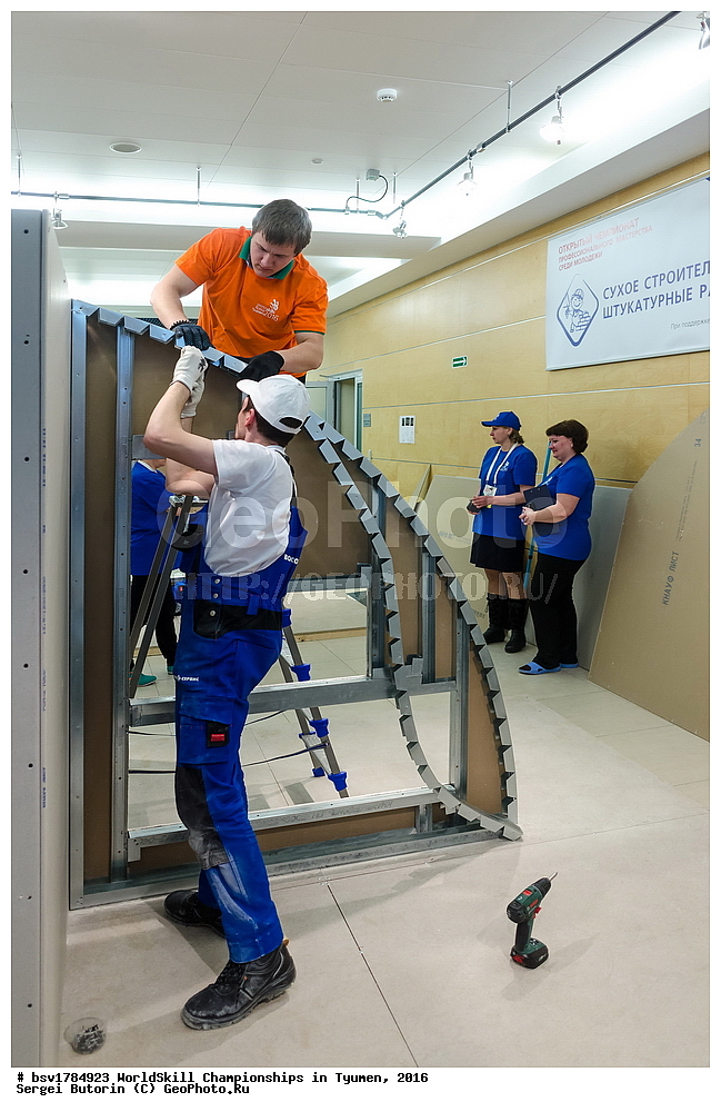 2016 ���, ������, ������, ���������, ������������, ���������