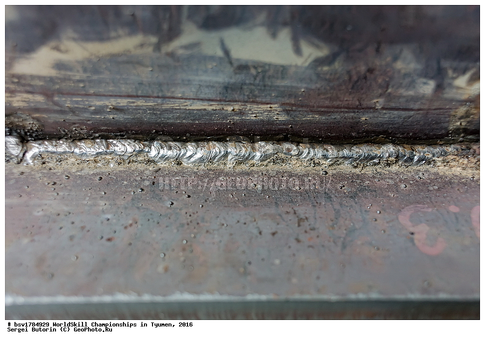 2016 ���, ������, ������, ���������, ������������, ���������