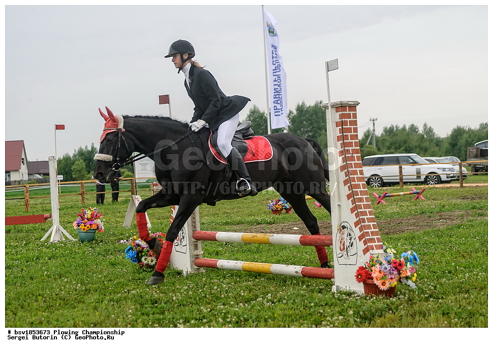 ���������, ������