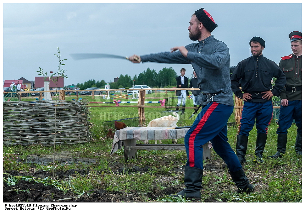 ���������, ������