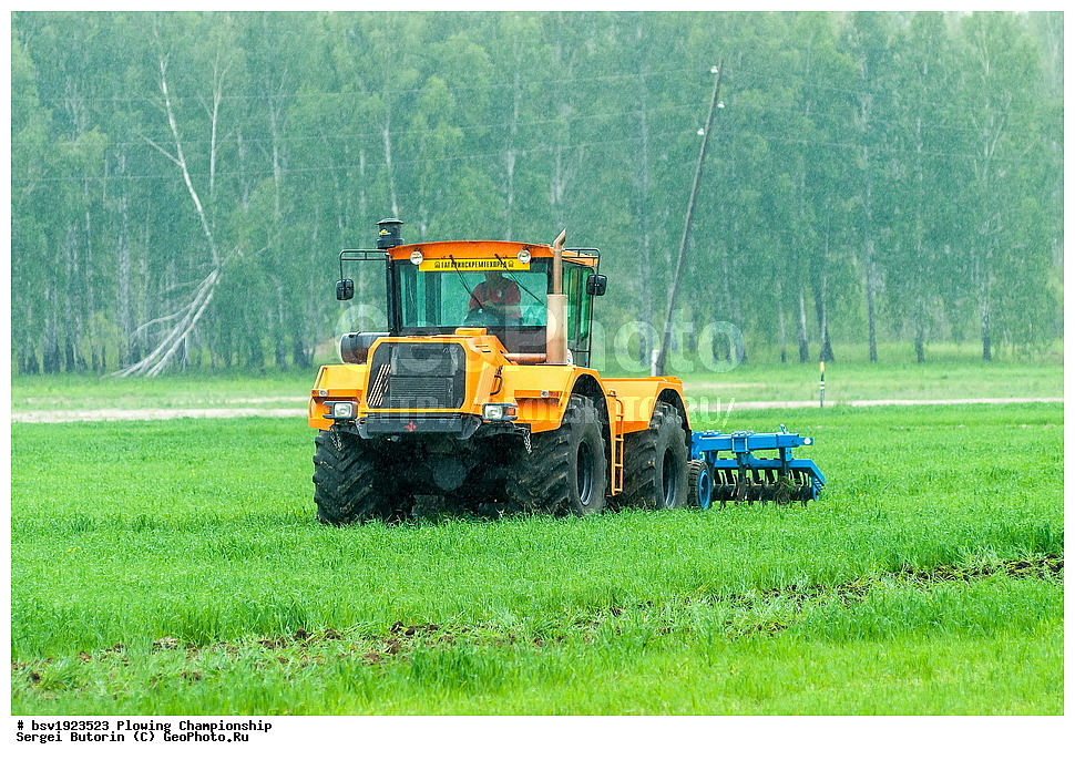 ���������, ������