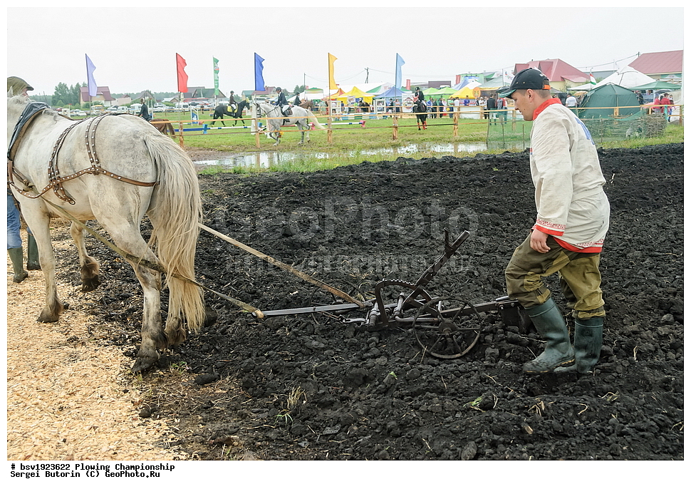 ���������, ������