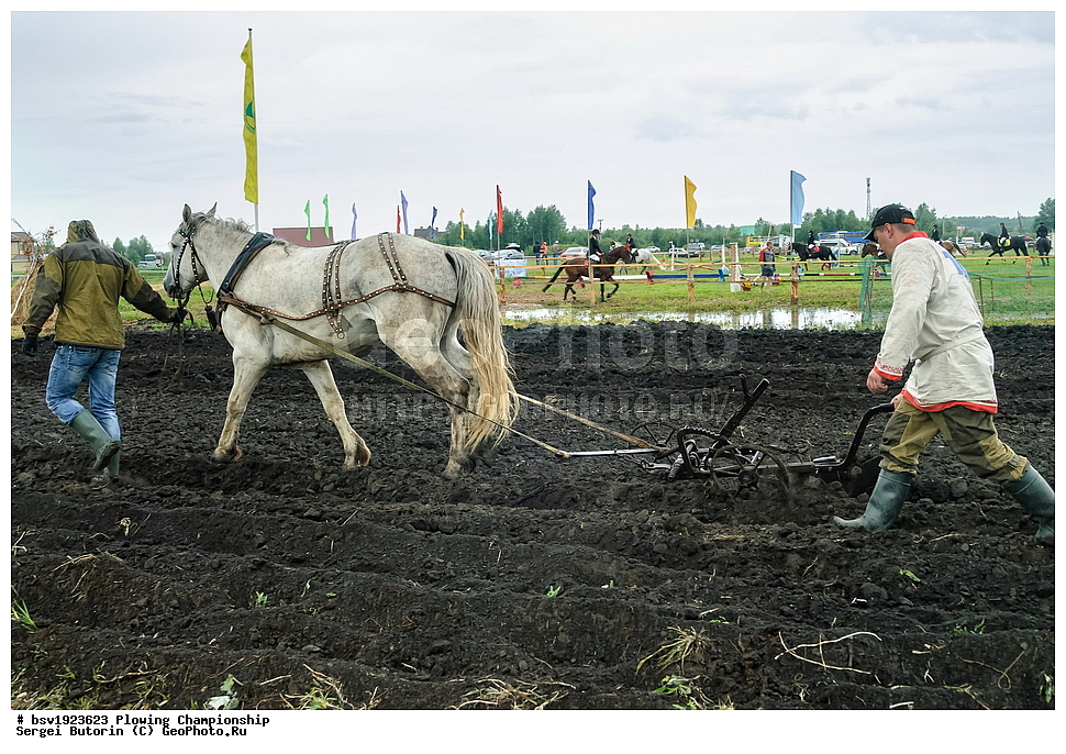 ���������, ������