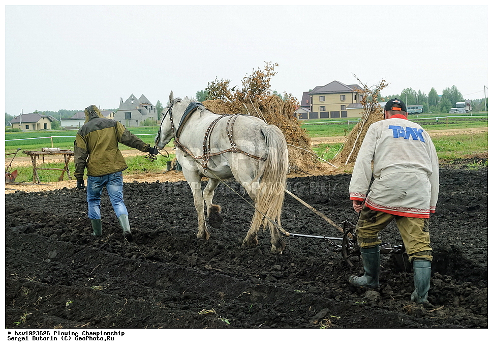 ���������, ������