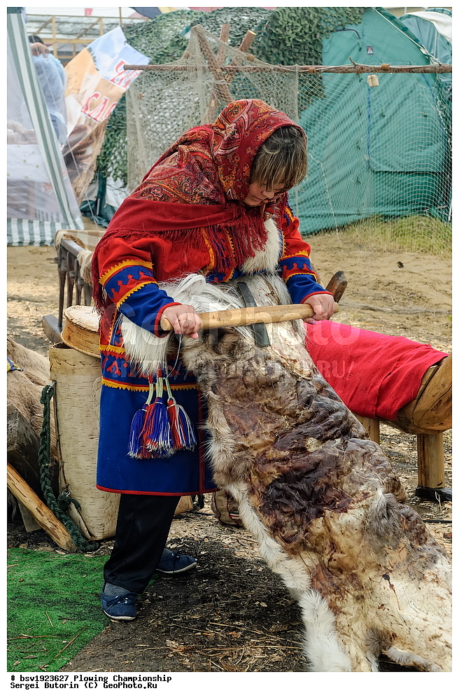 ���������, ������