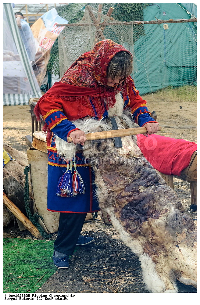 ���������, ������