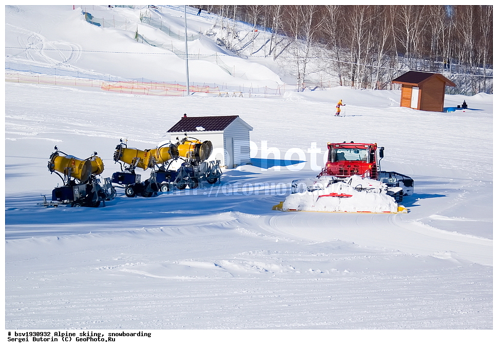 ������ ����, ��������