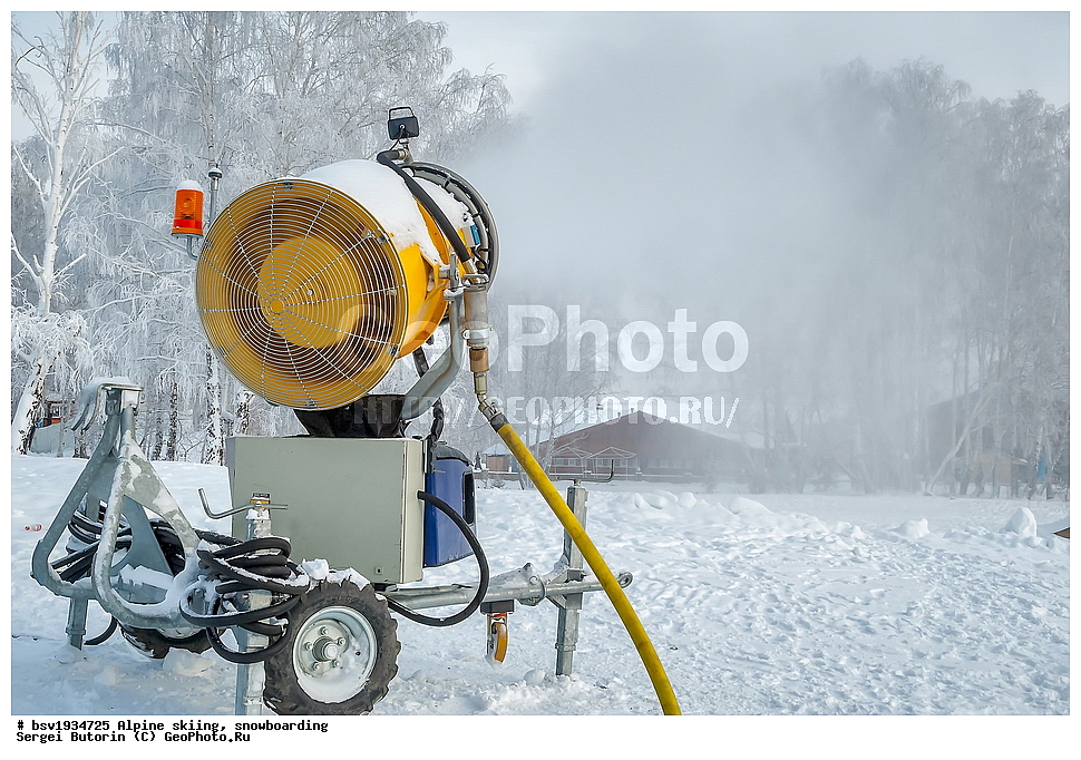 ������ ����, ��������