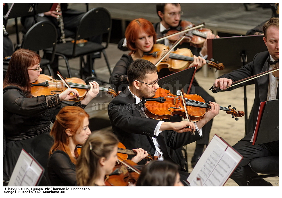 ������, ������, �������, ����������