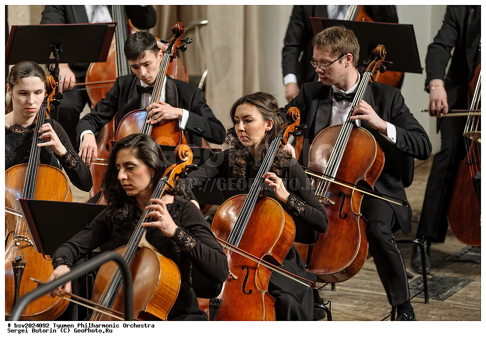 ������, ������, �������, ����������