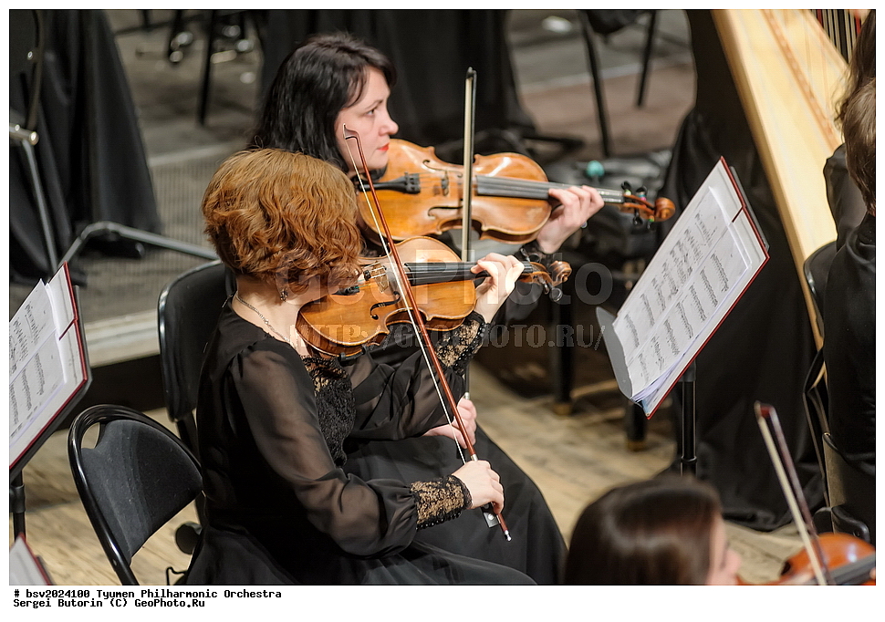 ������, ������, �������, ����������