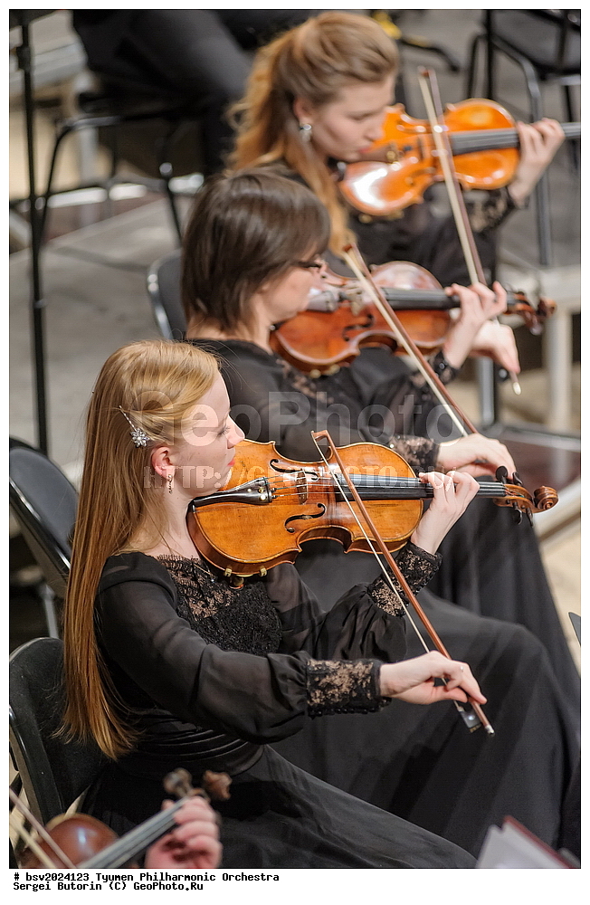 ������, ������, �������, ����������