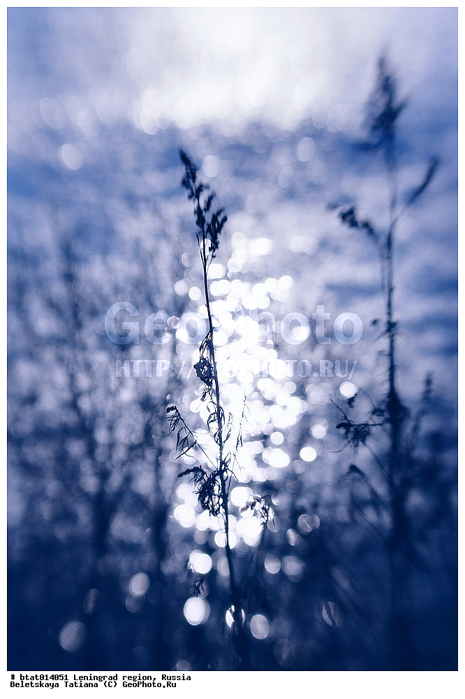 ������, ������������� �������, �����, ��������