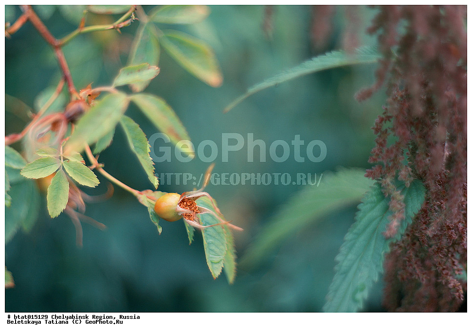 ������, ����������� �������, ����, ������� �������, �����, �����, ��������, ����� ����, ����� �������, �������, �������, ������, ��������, �����, ������, ������, ����, ������, �������, ��������������, ��������, ��������, �������