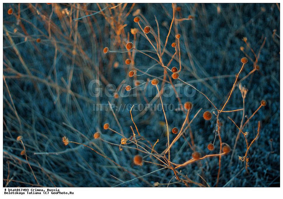  ������, ����, �������� ����������, ���������, �����, ��������, ��������, �����, ����� ��������, ��������, �������� �����, �����, ���� � ����, ������, ��������� ����, ���������, ����, ��������, �������� ����, �������� ����, �����, �������, �����