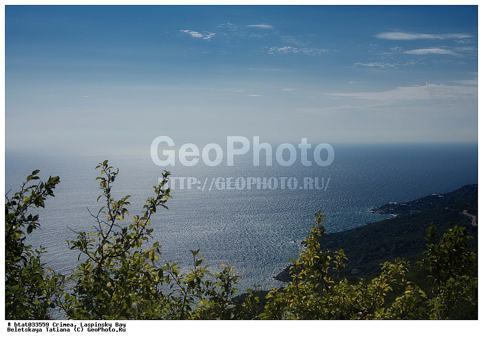 ����, �����, �����, ����������