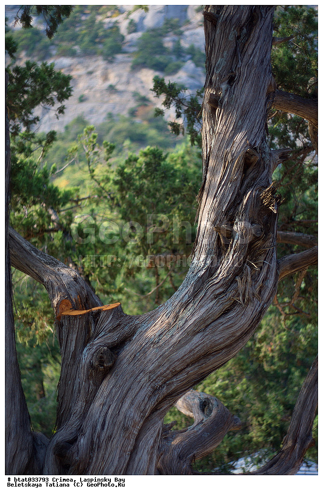 ����, �����, �����, ����������