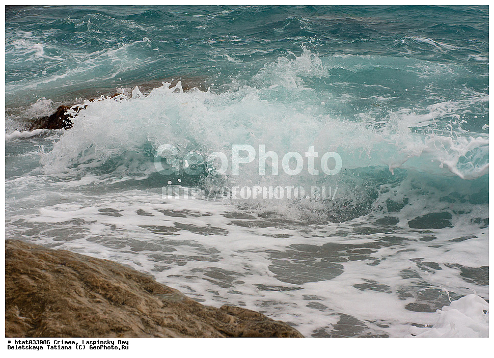 ����, �����, �����, ����������