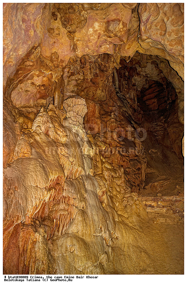 ����, ������, ����� ���� �����, �����, ����, �����