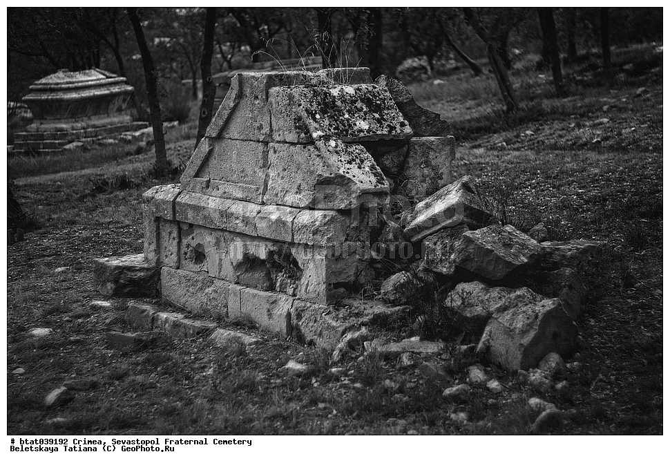 ����, �������� ��������, ��������, �����������