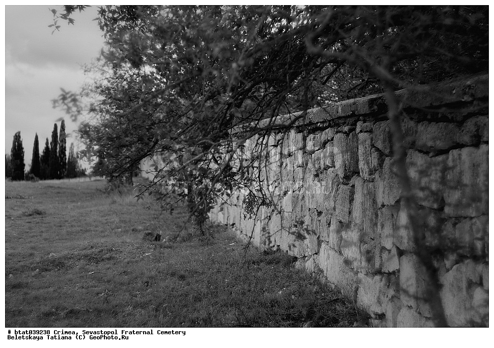 ����, �������� ��������, ��������, �����������