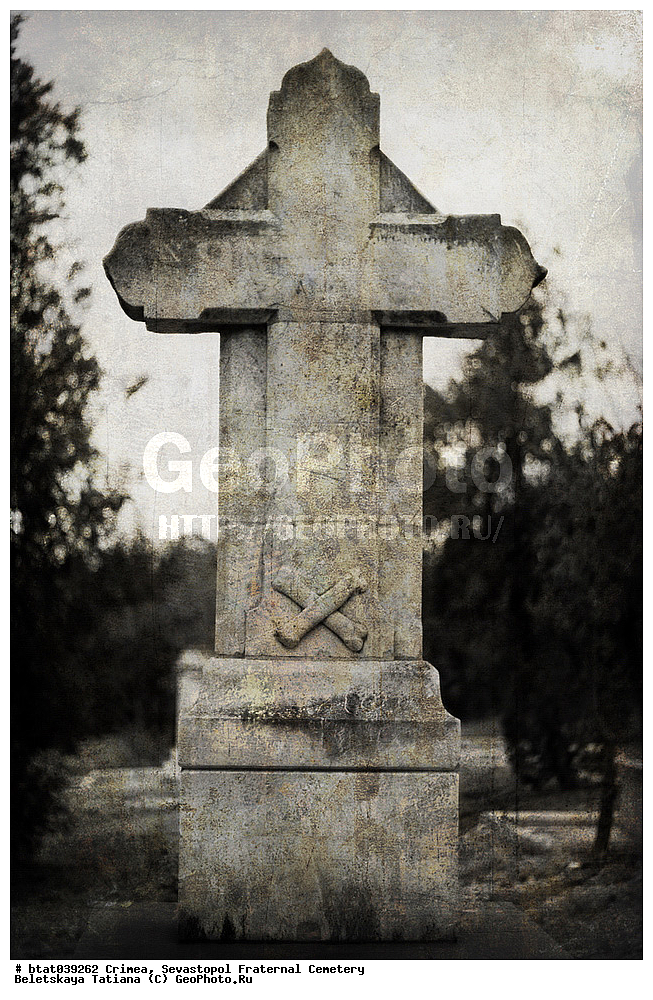 ����, �������� ��������, ��������, �����������