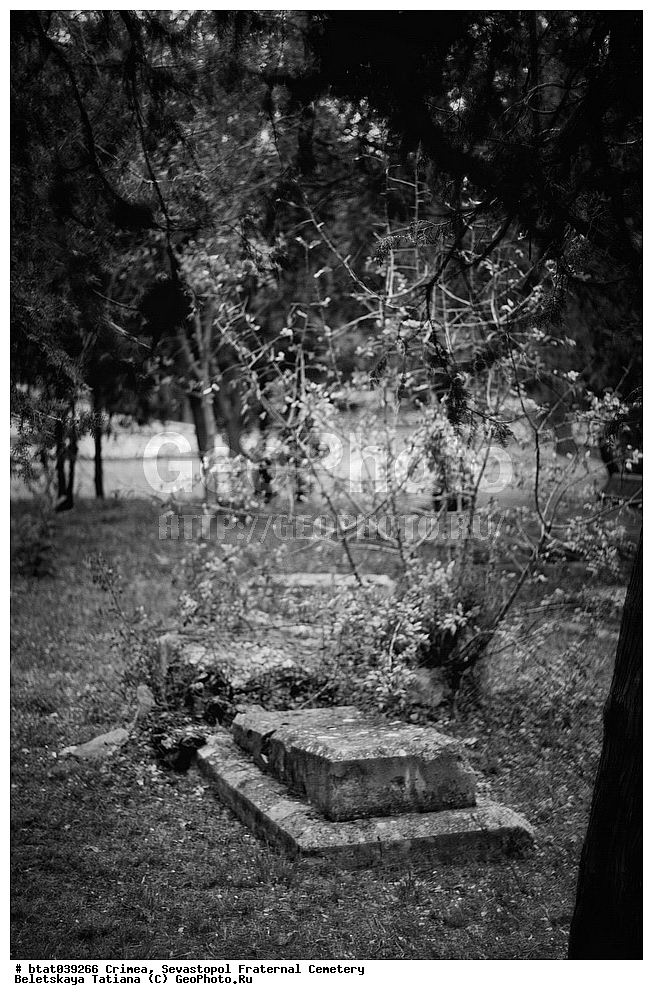 ����, �������� ��������, ��������, �����������