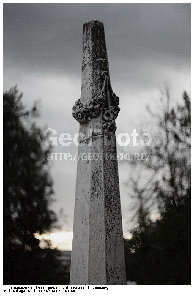 ����, �������� ��������, ��������, �����������