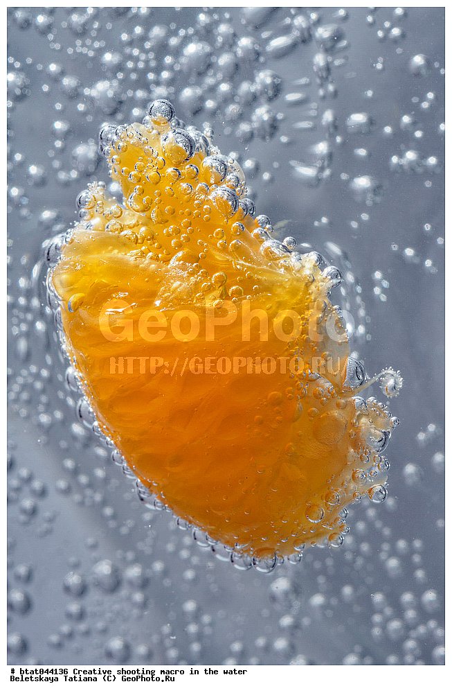 �������, �����, ����� ������, ����, ��������, ������, ������, ������, ����, �������, �����