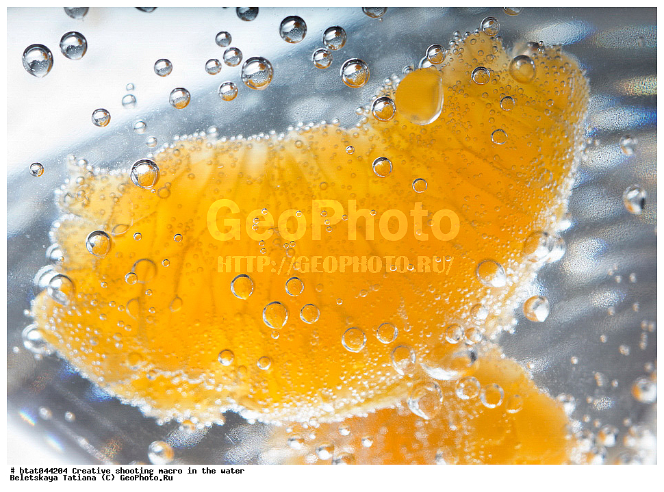 �������, �����, ����� ������, ����, ��������, ������, ������, ������, ����, �������, �����