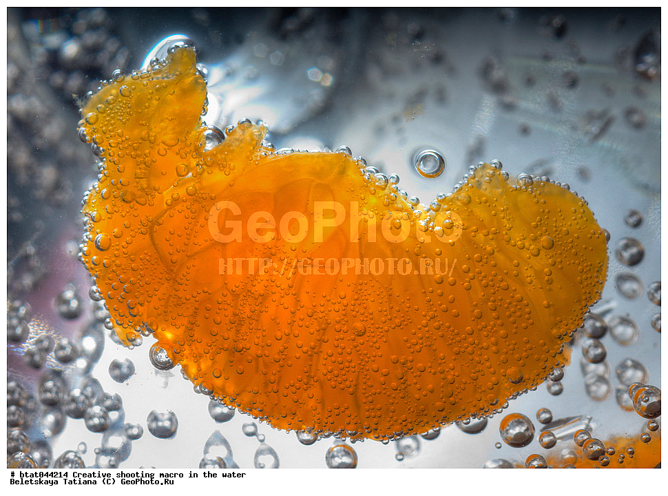 �������, �����, ����� ������, ����, ��������, ������, ������, ������, ����, �������, �����