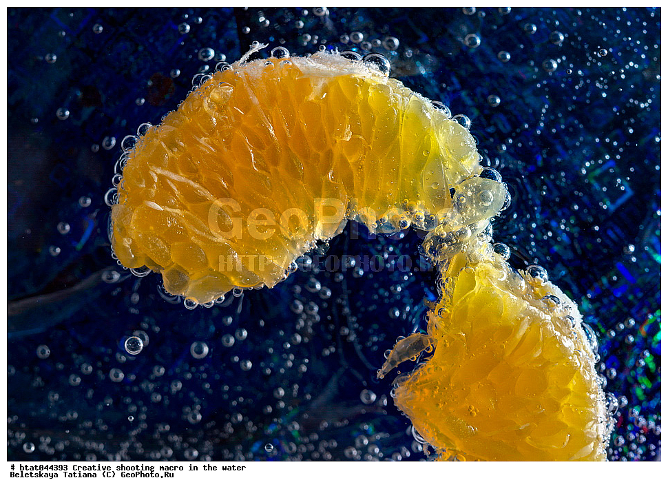 �������, �����, ����� ������, ����, ��������, ������, ������, ������, ����, �������, �����