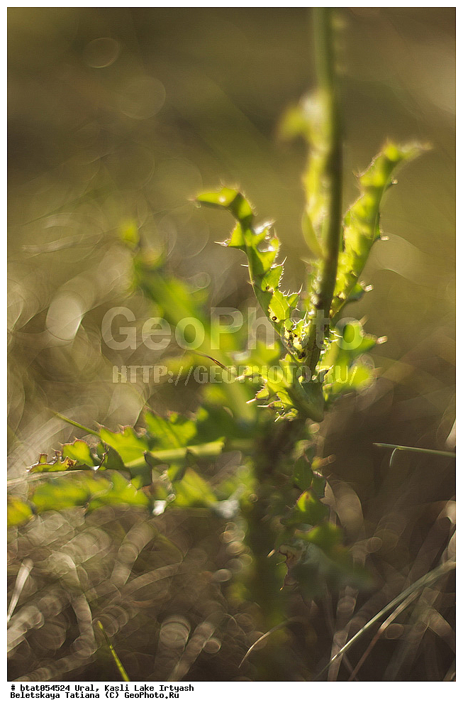 ����, �����, �����, �����, ����, �����, ��������, ����, �����, ������, ����, ��������� ����, ��������, ���������, �����, �����, �������, ��������, ��������, ��������