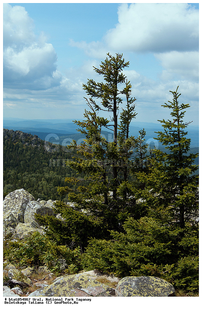 ����, ������������ ����, ����, �������, �����, ����� ����, ����������� �������, ��������, ����, ����, ������, ����, ������� �������, ����, ������, ��������, �����, ����, ����� ���������, �������, ������, �������, ��������, �����, ����, ����, �������, ��������, �����������, �����